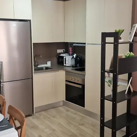 Estudio En Centro De Lägenhet *