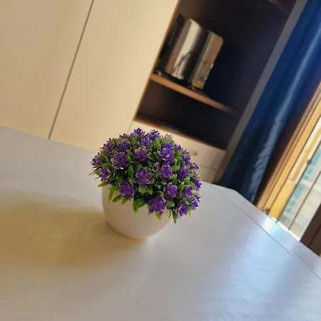 Estudio En Centro De Apartamento